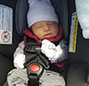 Baby   
    Eduardo, New Arrival Baby image for Jenkins Obstetrics