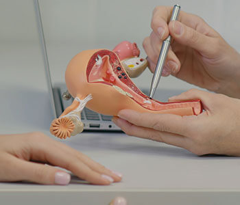 Skim indrømme Krydret Robotic Hysterectomy Katy - Uterus Removal - Fibroids Treatment